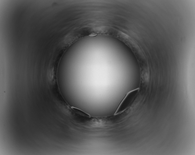 X0000089900764200707121849
