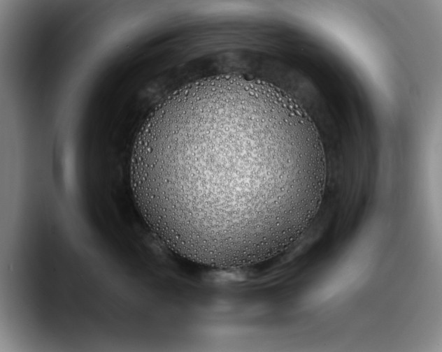 X0000089900765200707121849