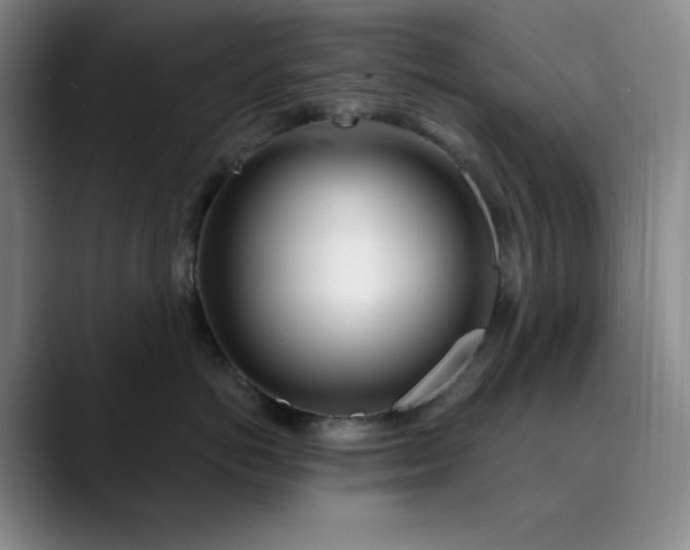 X0000089900766200707121849