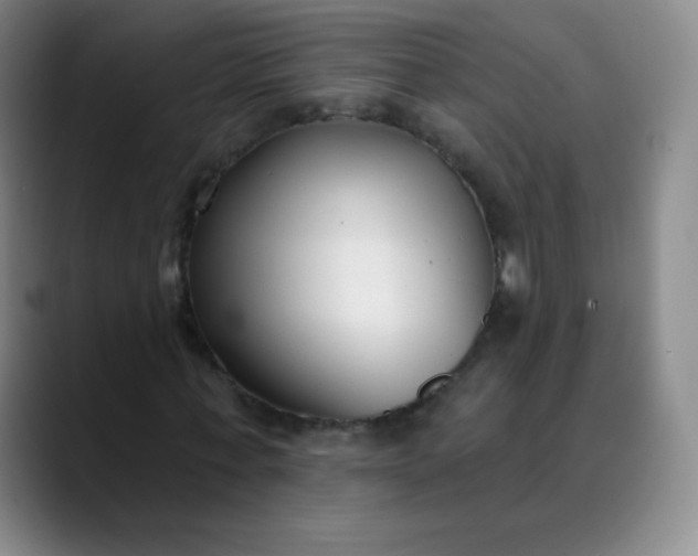 X0000089900771200707121849