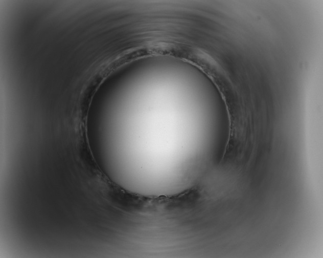 X0000089900773200707121849