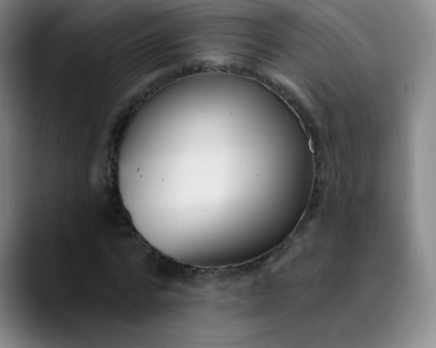 X0000089900776200707121849