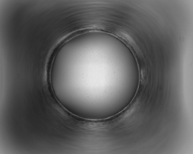 X0000089900780200707121849