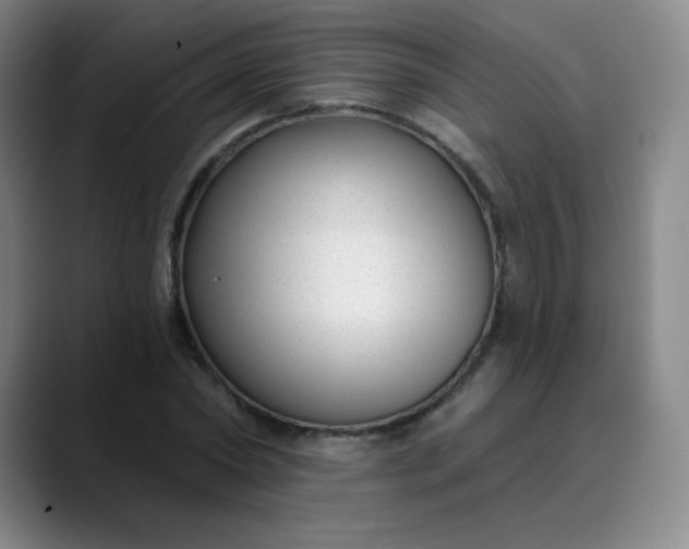 X0000089900782200707121849