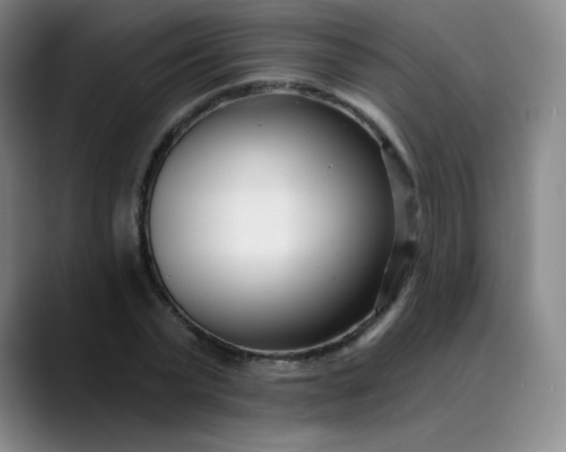 X0000089900783200707121848