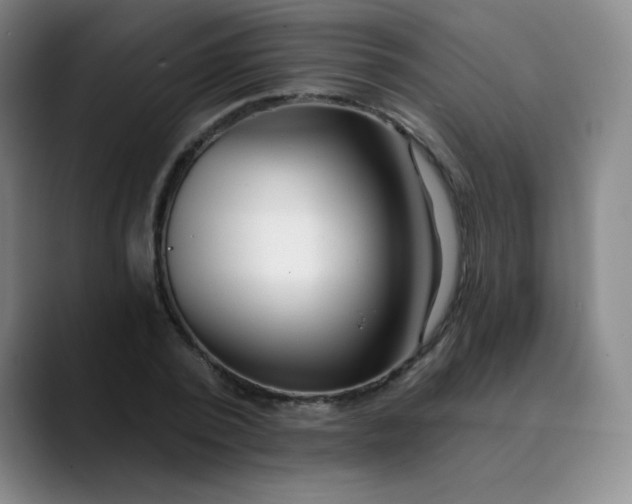 X0000089900784200707121848