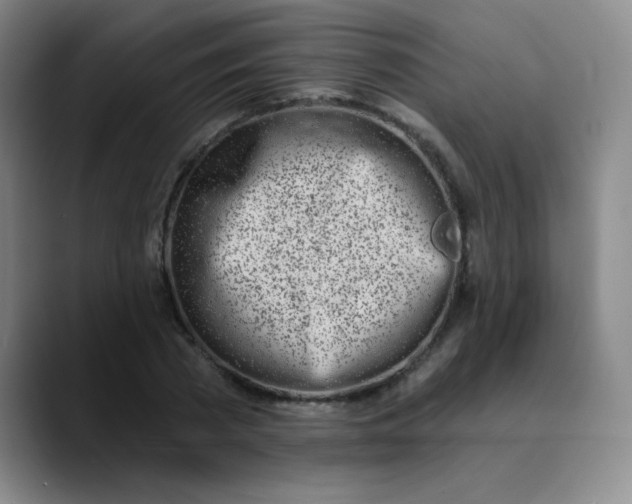 X0000089900785200707121848