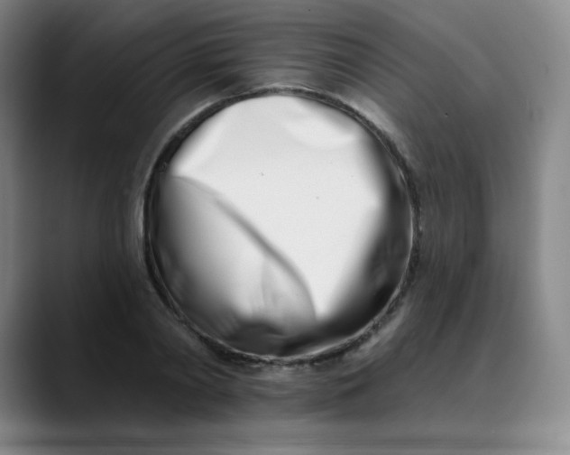 X0000089900790200707121848