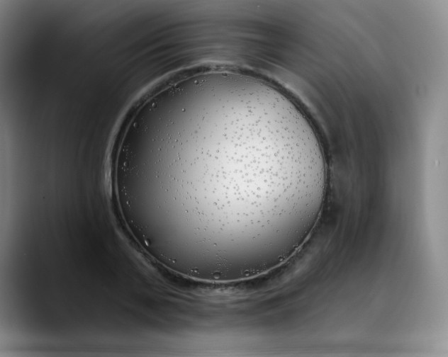 X0000089900791200707121848