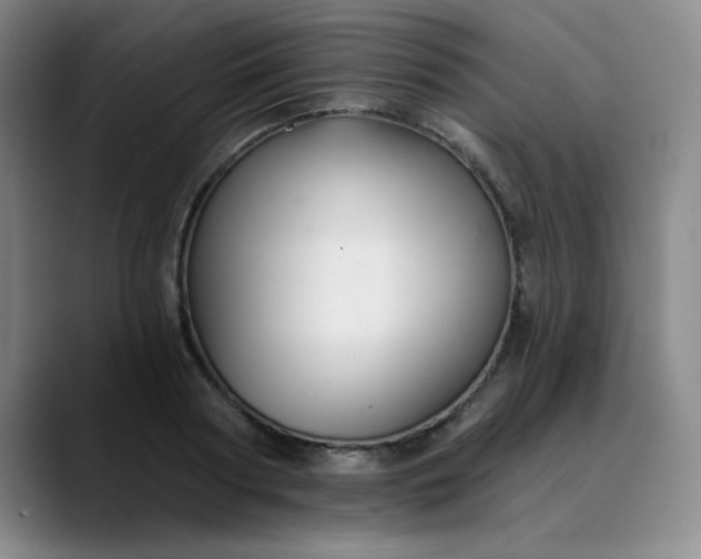 X0000089900794200707121848