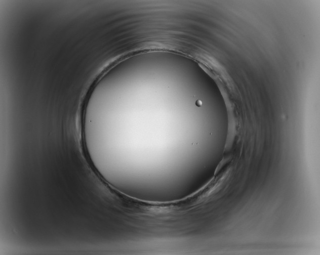 X0000089900796200707121848