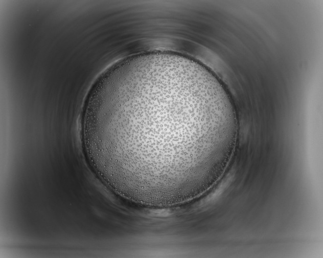 X0000089900798200707121848