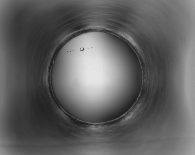 X0000089900799200707121848