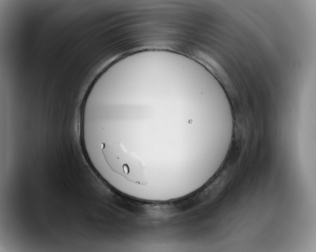 X0000089900804200707121848