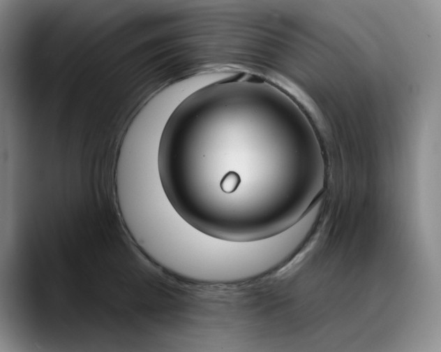 X0000089900809200707121848