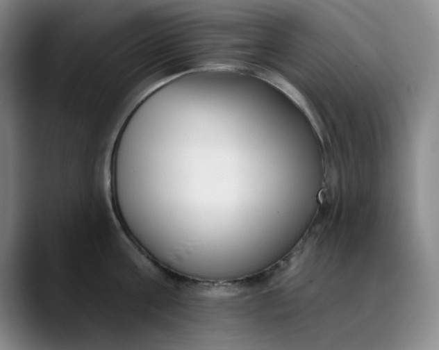 X0000089900811200707121848