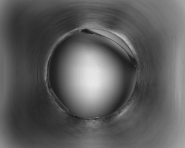 X0000089900815200707121848