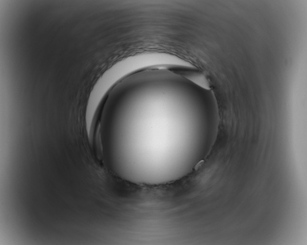 X0000089900818200707121848