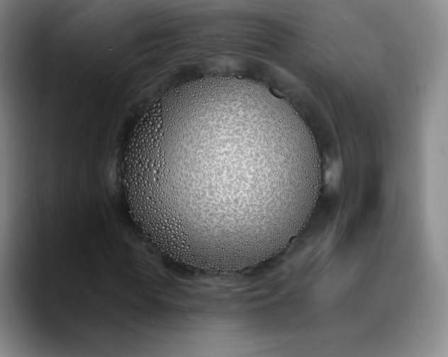X0000089900819200707121848