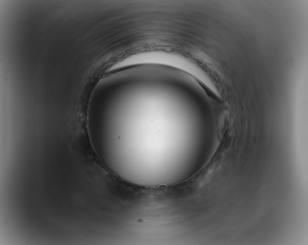 X0000089900822200707121848