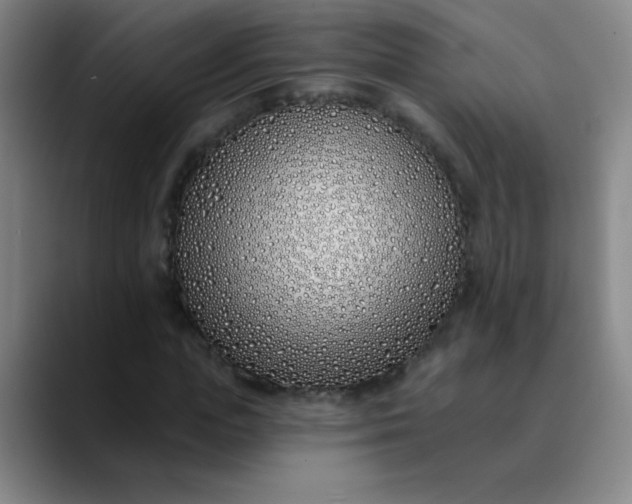 X0000089900823200707121848