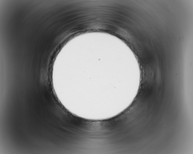 X0000089900828200707121848