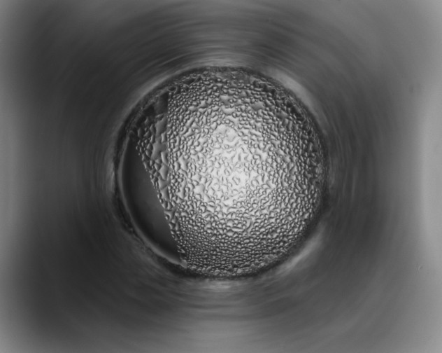 X0000089900829200707121848