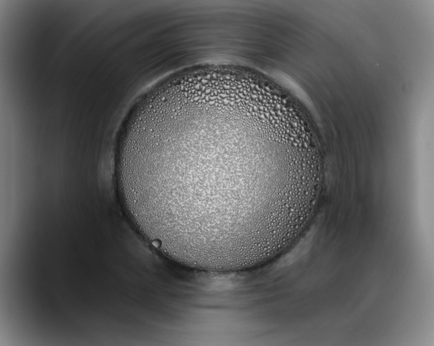 X0000089900831200707121848