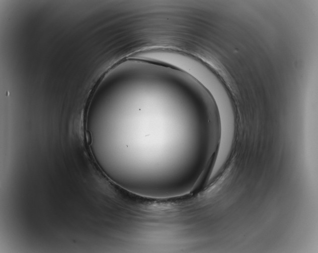 X0000089900842200707121848