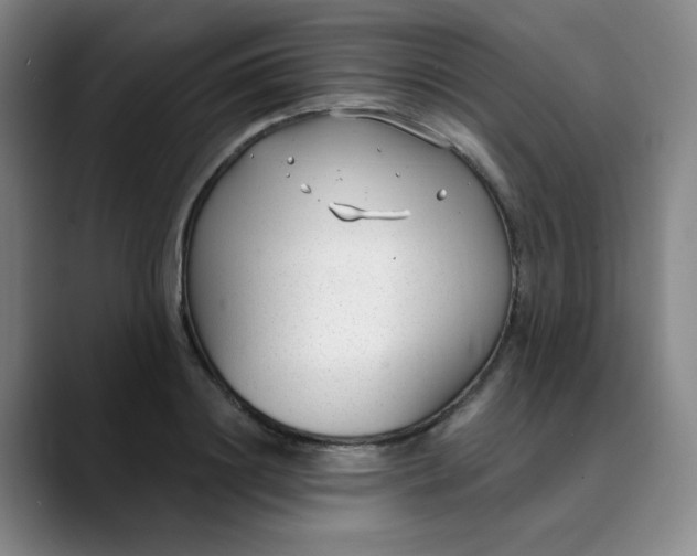 X0000089900844200707121848