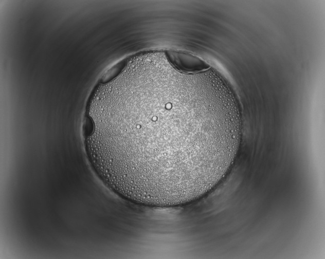 X0000089900847200707121848