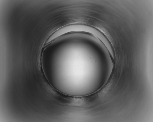 X0000089900850200707121848