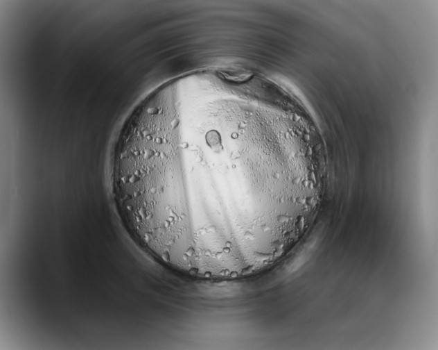 X0000089900851200707121848