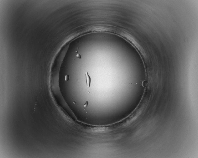 X0000089900853200707121848