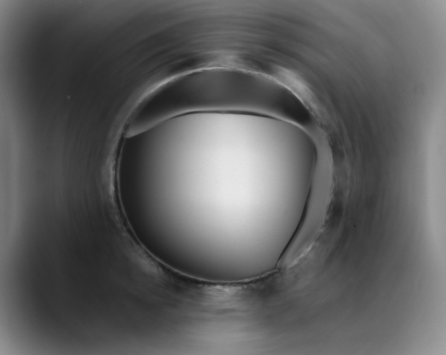 X0000089900854200707121848