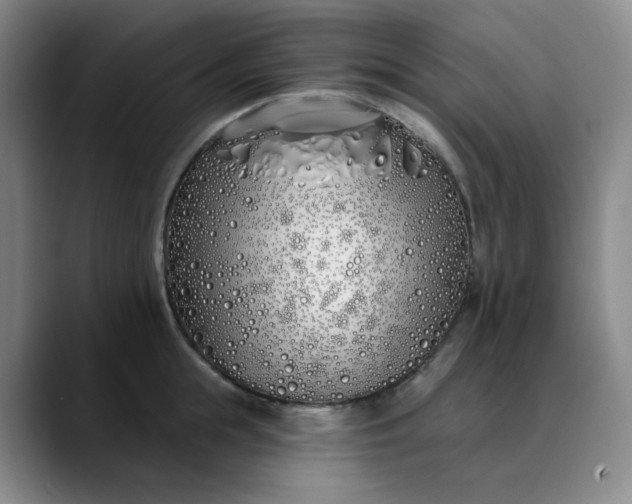 X0000089900855200707121848