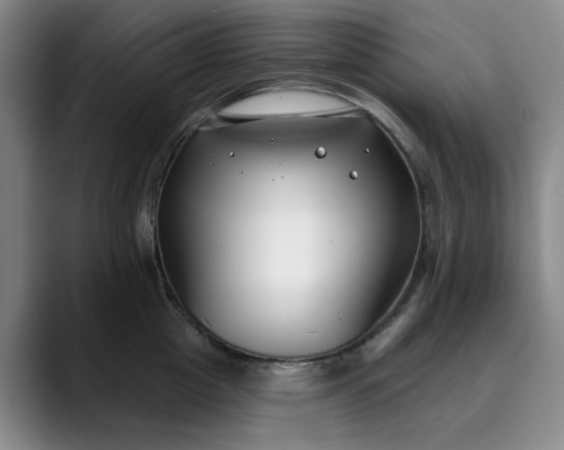 X0000089900857200707121848