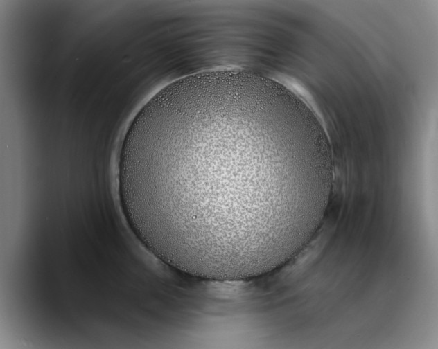 X0000089900859200707121848