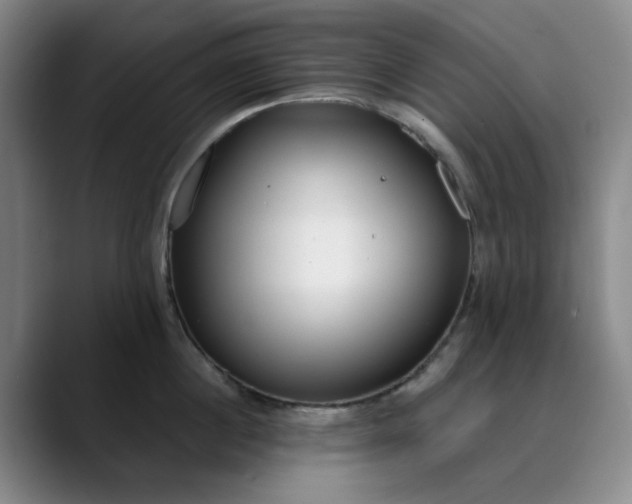 X0000089900860200707121848