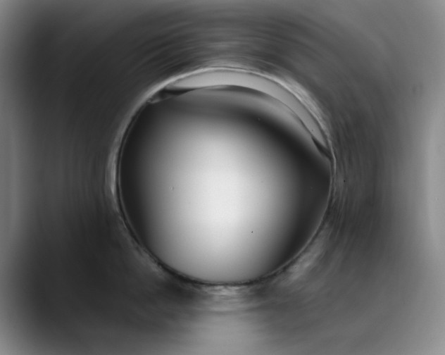 X0000089900862200707121848