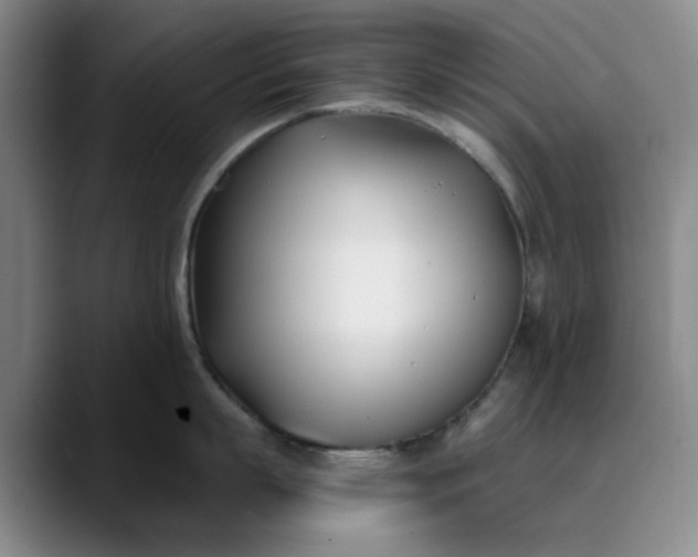 X0000089900863200707121848