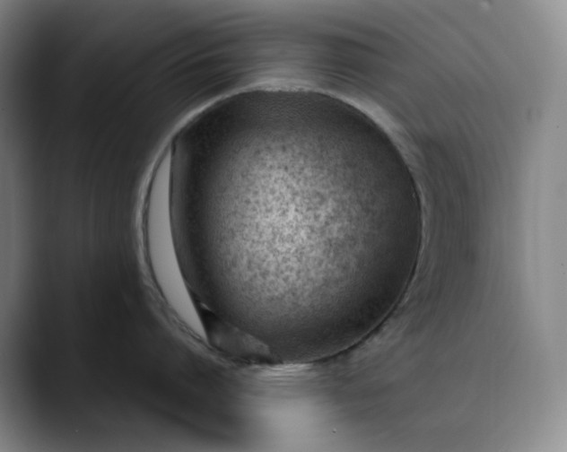 X0000089900864200707121848