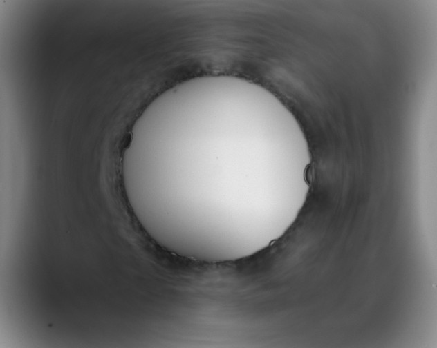 X0000089900865200707121848
