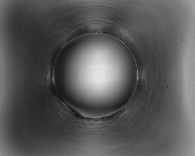 X0000089900868200707121848