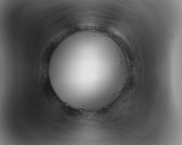 X0000089900870200707121847