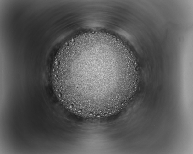 X0000089900871200707121847