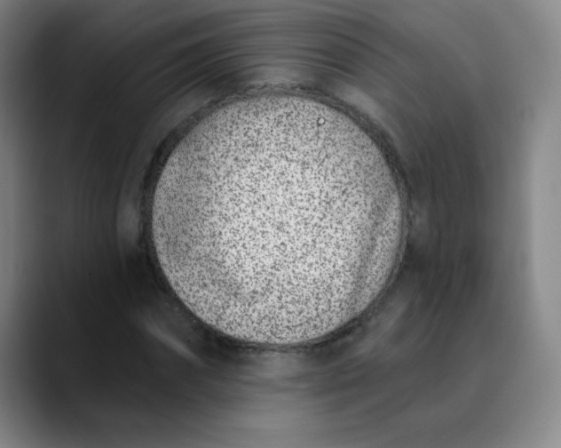 X0000089900874200707121847