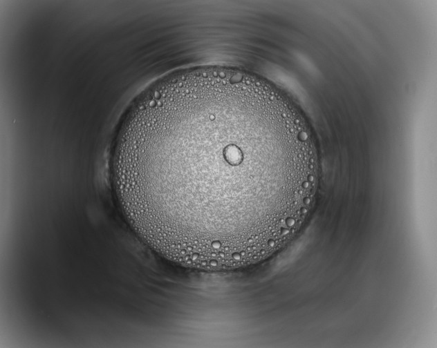 X0000089900875200707121847