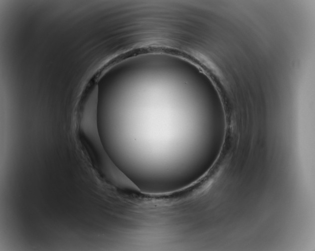 X0000089900877200707121847