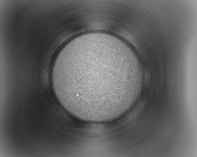 X0000089900878200707121847